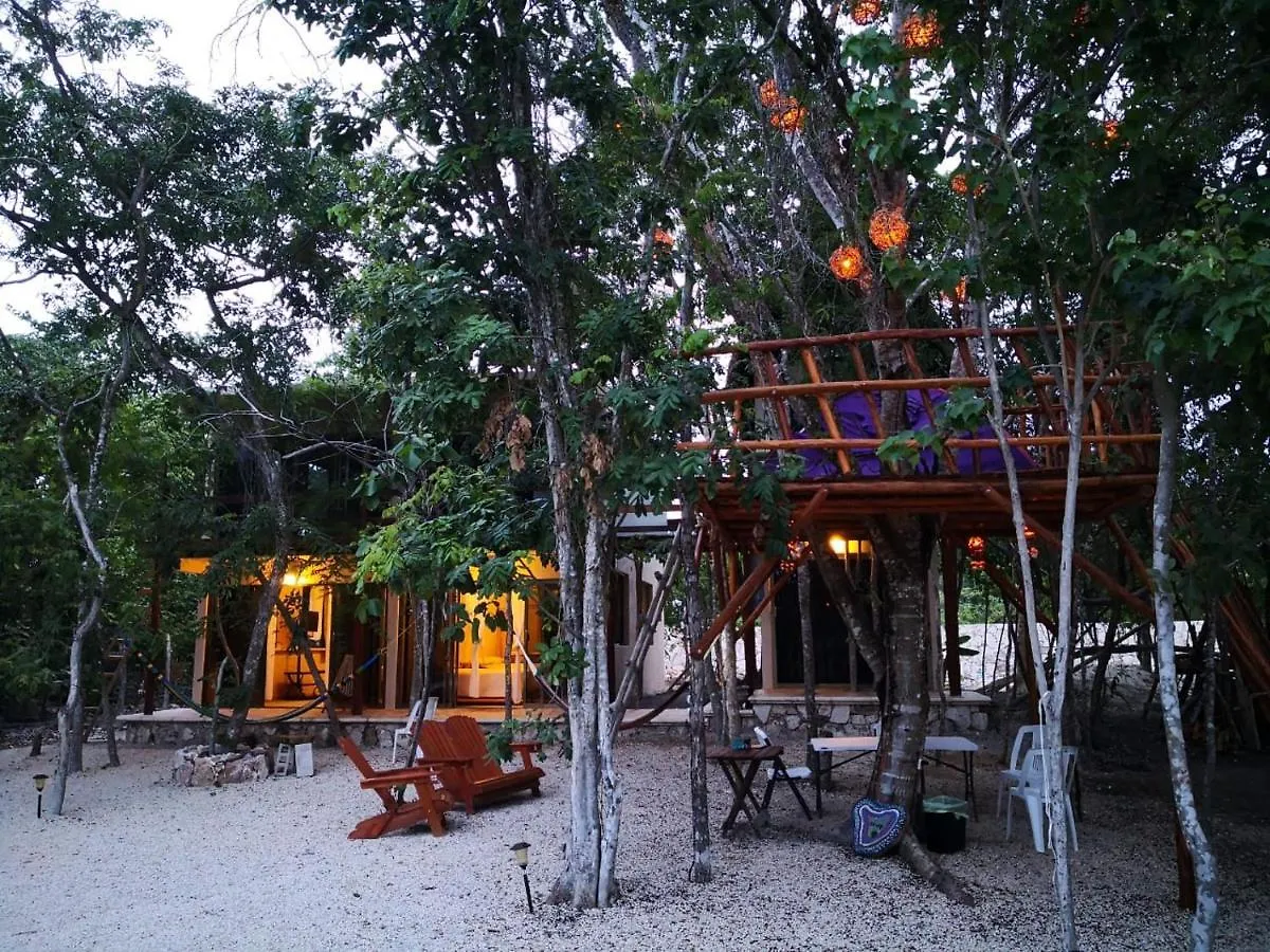 Iguanas Rana Bacalar Vila